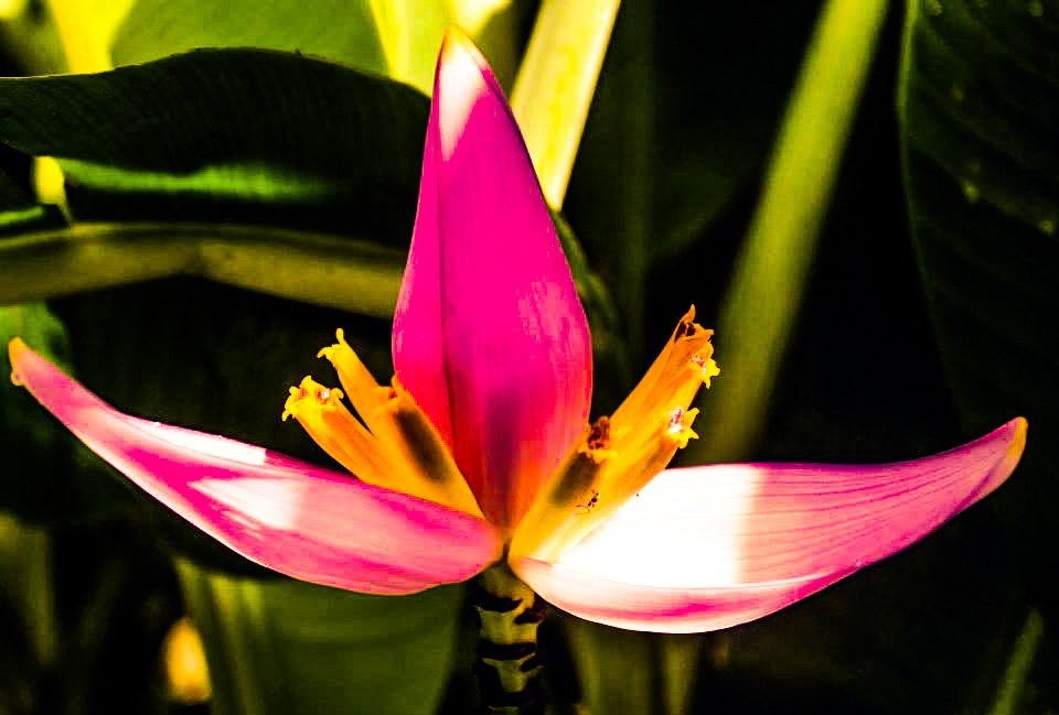 baby3318's profile picture. 