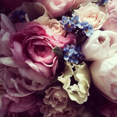 beccy_tiller's profile picture. 