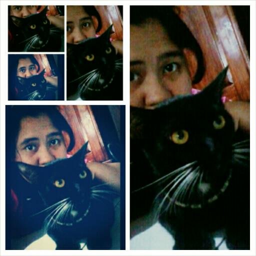 ULIVIA NELLYSARA..92 line ^^i love SUPER JUNIOR i love love love CHOI SIWON @siwon407I'm E.L.F and I'm Siwonest \(^,^)/The biggest fans of @siwon407