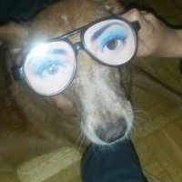 iJavier (@hombrepantalla) 's Twitter Profile