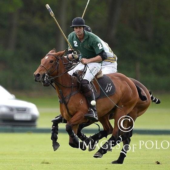 nickpepper27's profile picture. Polo Player