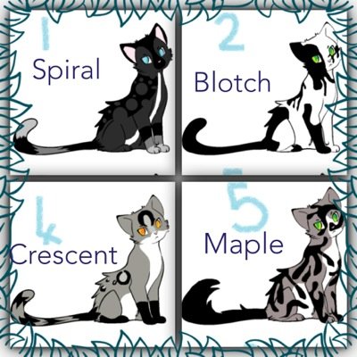1.Spiral shy n' beautiful shekit single. 2.Blotch outgoing shekit single. 4.Crescent mysterious n' quiet shekit single. 5.Maple feisty n' talkative she single.