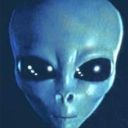a human