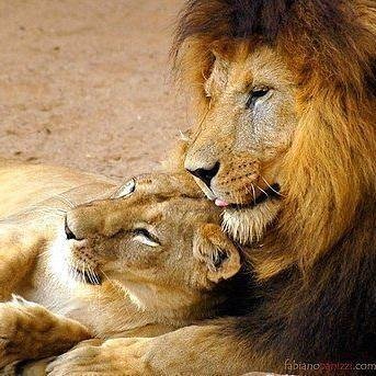 filimonova62's profile picture. Чего хочет Женщина - хочет Бог