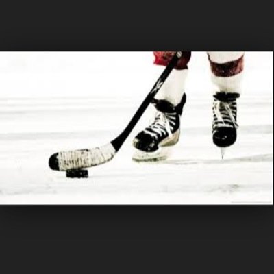 i love punk rock and hockey. pens fan
