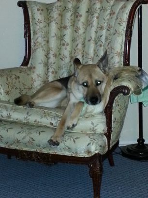 ptrj29's profile picture. 