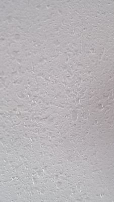 lololoxoxo5's profile picture. 