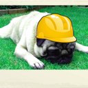 Don Bender - @RealDonBender - Twitter