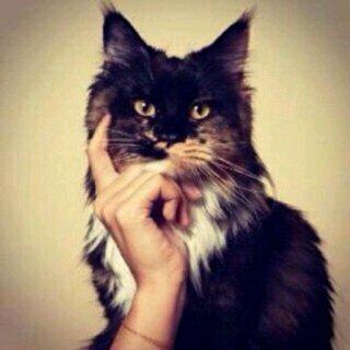 joojoo_1661's profile picture. كل م دخلت هناا ؟إدعيلي ♡.