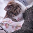 Catherine - @CatherineSher - Twitter