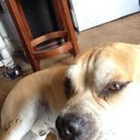 Peter Goddard - @PeterIslandia11 - Twitter