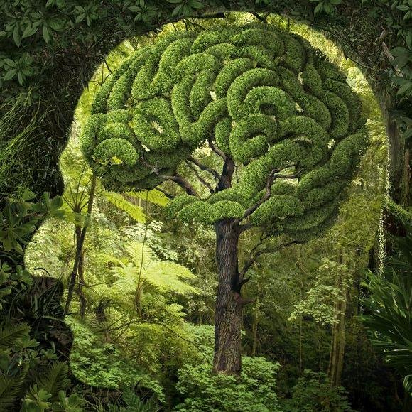 rsalama3's profile picture. 