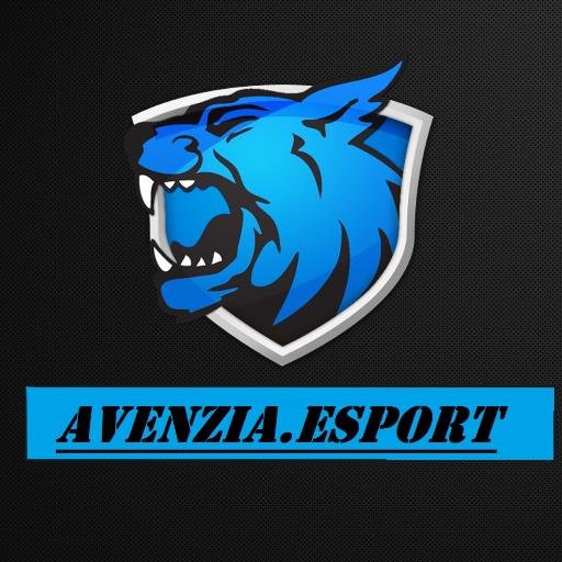 | Team call of duty depuis 2013 |. Joueur de la AveNzia.eSport : @NaakeN_NZK, @SLYCE_AR , @decertowaayzr , @predatheo