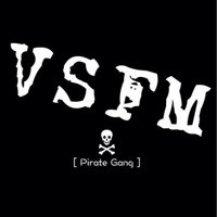 VSFM(@VSFMNRC) 's Twitter Profile Photo