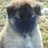 Scout889's profile image