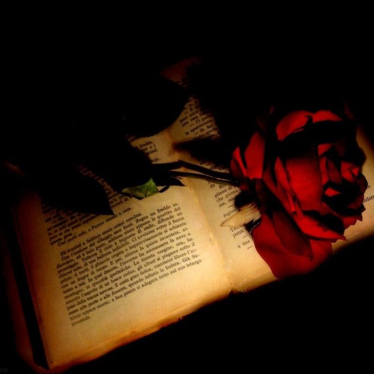 Los secretos de tu alma, tus sentimientos escritos en el libro que traigo para ti.