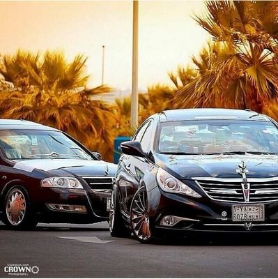 قـطـب +وسـوسـة..