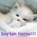 Marcela Astudillo - @alejita164 - Twitter