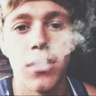 NiallHoranLH's profile picture. Where da fuq are the other guys?