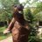 WMSGrizzlies's profile image