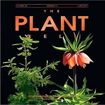 @ThePlantCell