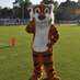Causey Middle School (@causeytigers) Twitter profile photo Causey Middle School (@causeytigers) Twitter profile photo