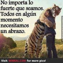 CANAIMA15's profile picture. 