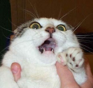 theclenchy's profile picture. struggling to remain calm