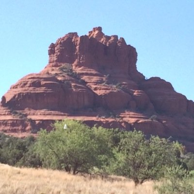 leehoffman17's profile picture. 