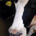 Vermont Farmers (@vermontfarmers) Twitter profile photo