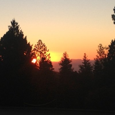 SusanSeiffert's profile picture. High school librarian for the past 9 years. Working on a Masters in Instructional Design and Technology.