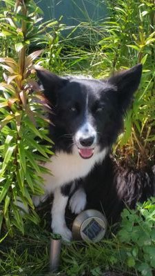 abstysnan's profile picture. Local politics; walking and running over our fantastic fells and trails