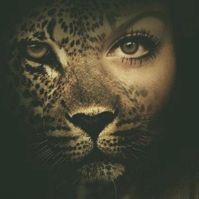 To many fandoms ayye follow for follow back