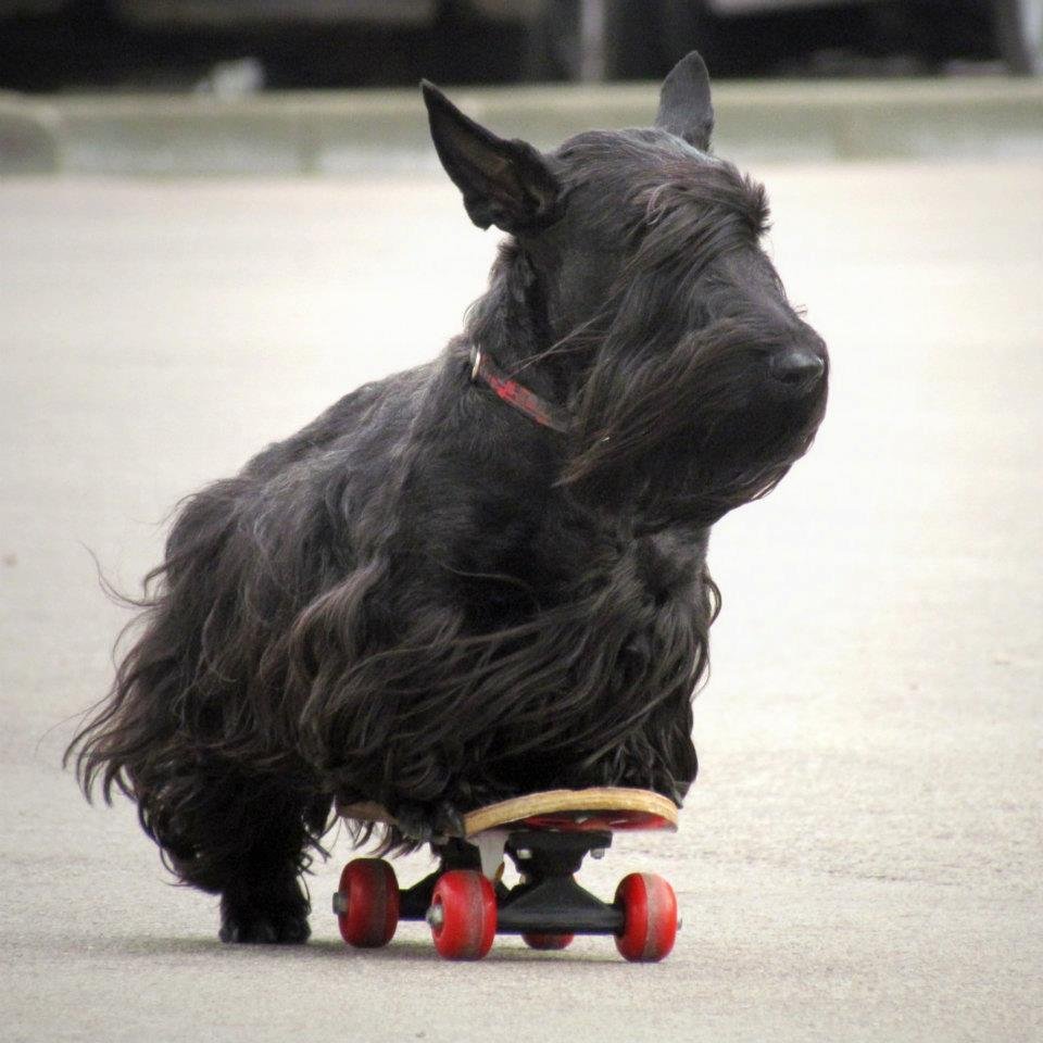 RealtimeMiami's profile picture. 