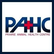 Prairie Animal Health Centre is a mixed animal hospital that aims to enhance the life of animals and their performance for their families that depend on them.