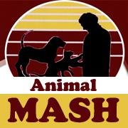 Animal Medical and Surgical Hospital is a full service companion animal hospital. Its our commitment to provide quality vet care throughout the life of your pet