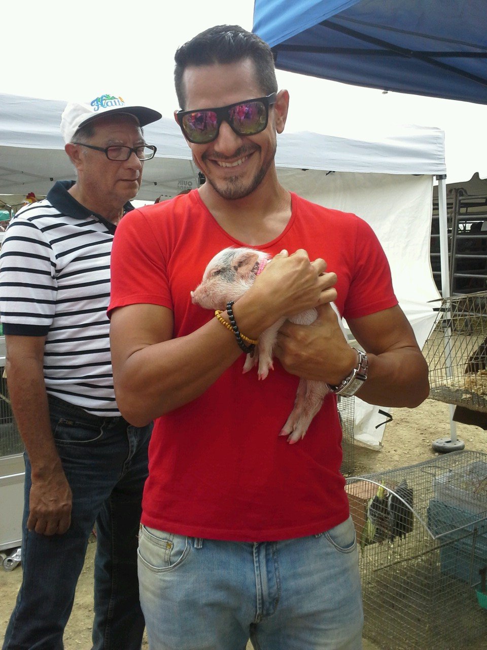 jacevedoperez's profile picture. Publicista independiente