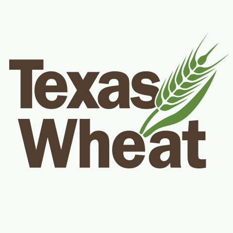 TexasWheat Profile Picture