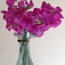 Nanette.Cormier - @nancormier50 - Twitter