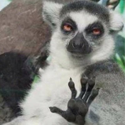 Jb42300Joshua's profile picture. 