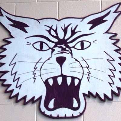 MCHS Student Council