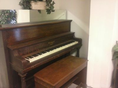 I play the bass guitar and drums and piano.
