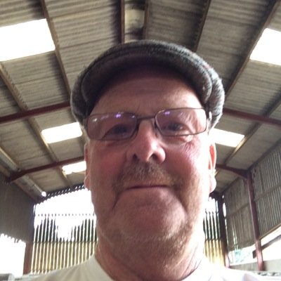 crosshouseswolf's profile picture. 