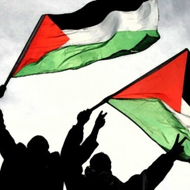 help2Palestina's profile picture. Fundraising http://t.co/UgVFF8F1Xb #help2palestina