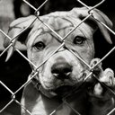 Patience Rose - @HashtagCutie - Twitter