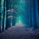 jacob emerick - @jayrock2678 - Twitter