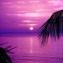 Sharon Bearce - @BearceSharon - Twitter