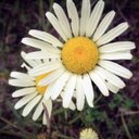 Rylee Martin - @RyleeMartin9 - Twitter