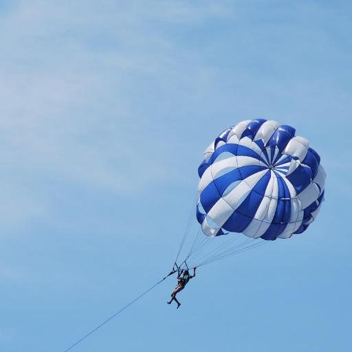 BentoFreeman's profile picture. Si ikan yg selalu bermimpi dapat hidup di darat