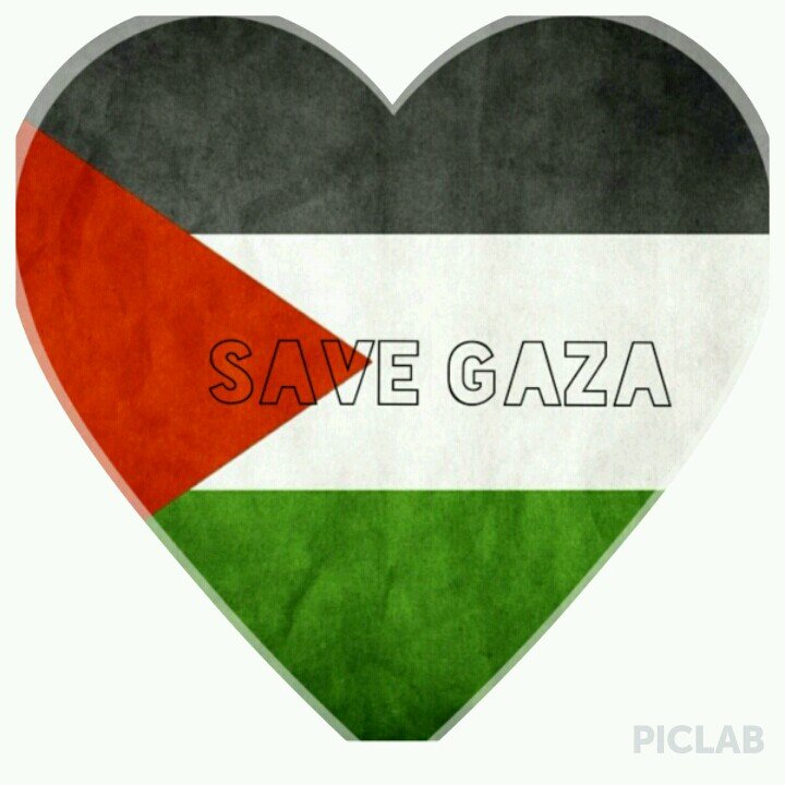 #FreeGaza ♡ ♡ 123 vive l'Algérie♥♥ ALGERIAN DIRECTIONER ♥♥ 5SOS ♥♥the vamps♡♡